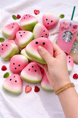 Pre-Order Viral Watermelon Squishy-W