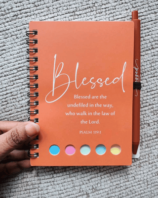 Faith Pastel Diary with Pens, Sticky Notes & Page Holder-W