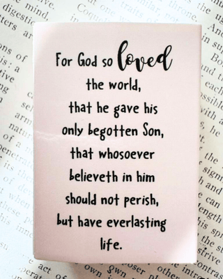 Red & Pink Cross Studs With Jesus-W