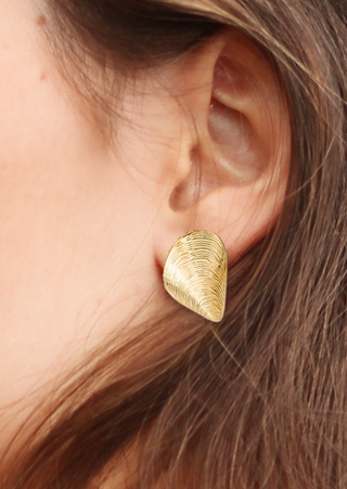 Oyster Shell Stud Earrings (Golden)