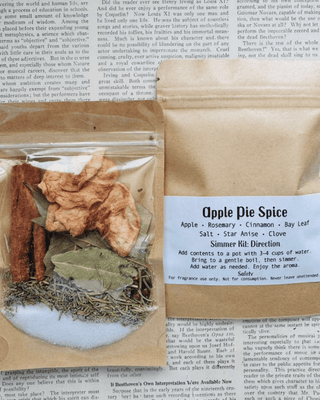 Simmer Kit: Apple Pie Spice(Small)-W